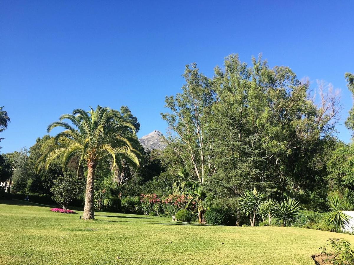Nueva Andalucia - Penthouse Lejlighed Marbella Eksteriør billede